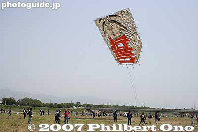 At slightly past noon with medium-force winds, the giant kite is launched. The kite immediately went straight up. The giant kite is 13 meters high and 12 meters wide, and weighs 700 kg.
Keywords: shiga higashiomi yokaichi odako matsuri giant kite festival shigabestmatsuri
