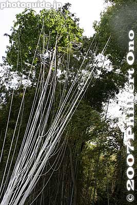 The kite strings were too tangled in the bamboo.
Keywords: shiga higashiomi yokaichi odako matsuri giant kite festival bamboo strings