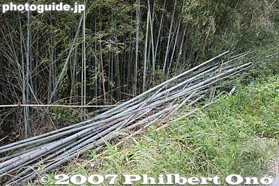 Stack of cut bamboo.
Keywords: shiga higashiomi yokaichi odako matsuri giant kite festival bamboo