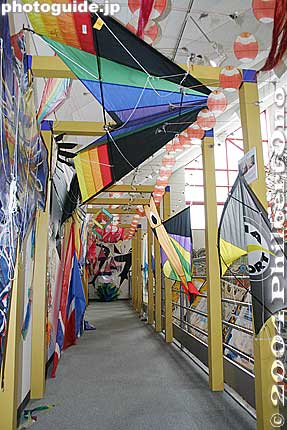 Kites from around the world.
Keywords: shiga yokaichi giant kite museum higashi-omi higashiomi