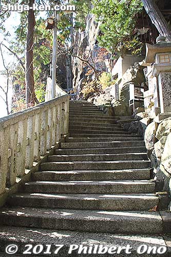 Omotesando path to the main shrine. 表参道
Keywords: shiga higashiomi tarobogu aga shrine