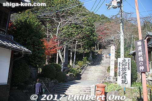 If you don't take the bus, it's 700 steps up from here.
Keywords: shiga higashiomi tarobogu aga shrine