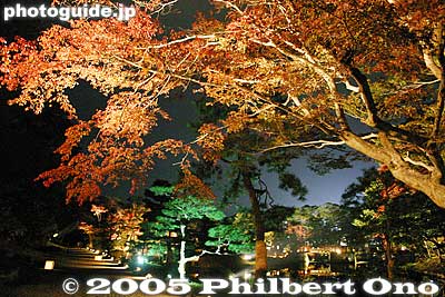 From mid-Nov. to early Dec., the garden is beautifully lit up at night until 9 pm. Note that although the castle tower is also lit up, you cannot enter the castle grounds after 5 pm.
Keywords: shiga prefecture hikone castle japanese garden fall autumn colors leaves japanaki
