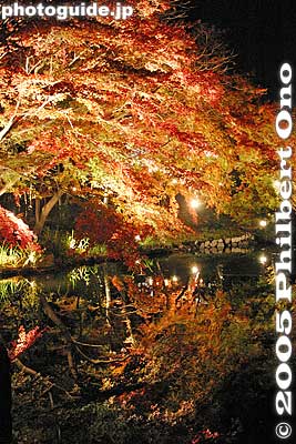 Keywords: shiga prefecture hikone castle japanese garden fall autumn colors leaves