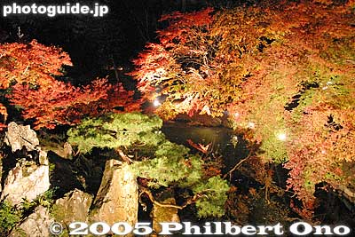 Keywords: shiga prefecture hikone castle japanese garden fall autumn colors leaves