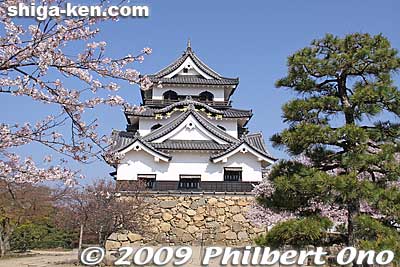 Hikone Castle has bell-shaped windows at the top.
Keywords: shiga hikone castle tower national treasure sakura cherry blossoms