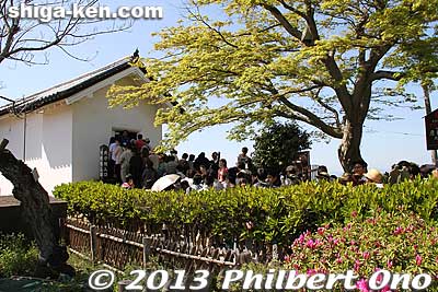People line up to enter Hikone Castle's main tower.
Keywords: shiga hikone castle tower national treasure