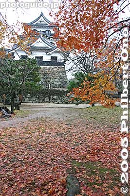 After seeing the main castle tower, walk behind it to also see the Nishinomaru keep. This is the rear view of Hikone Castle's main tenshu tower as seen from Nishonomaru in fall.
Keywords: shiga hikone castle tower national treasure