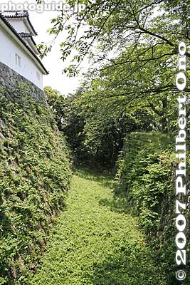 Moat of Nishinomaru Sanju-yagura turret.
Keywords: shiga hikone castle