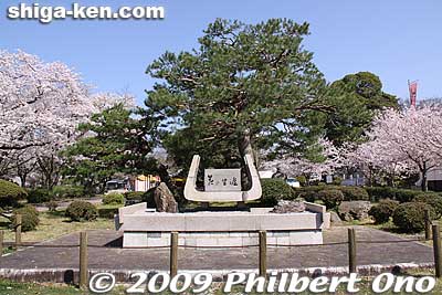 Near the statue, Hana no Shogai (Flowering Life 花の生涯) monument for Funahashi Seiichi's novel about Naosuke's life that was made into the first NHK Taiga Drama.
Keywords: shiga hikone castle sakura cherry blossoms
