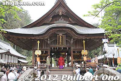 A Shinto ceremony is held in front of the three portable shrines.
