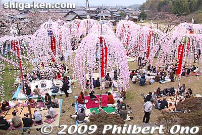 View from Hieda Shrine.
Keywords: shiga hino-cho Minami Sanno Matsuri Festival hoinobori streamers