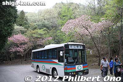 Shakunage Gorge is a very pleasant gorge with rhododendron (shakunage) blooming on the slopes during early May. The official name is Kaigake-dani Valley which is part of the Suzuka Quasi-National Park. Shuttle buses are provided from Hino Station.
Keywords: shiga hino shakunage Rhododendron flowers gorge valley