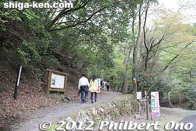 An easy walk up a hill.
Keywords: shiga hino shakunage Rhododendron flowers gorge valley