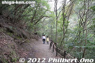 Nice nature path.
Keywords: shiga hino shakunage Rhododendron flowers gorge valley