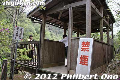 Lookout deck.
Keywords: shiga hino shakunage Rhododendron flowers gorge valley