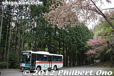Shuttle bus going back to Hino Station.
Keywords: shiga hino shakunage Rhododendron flowers gorge valley