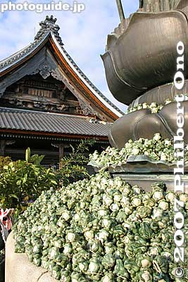 Base of giant Jizo statue covered with frogs which help people receive divine blessings from the Jizo. 身代わり蛙
Keywords: shiga nagahama kinomoto-cho jizo-in buddhist temple shigabestviews