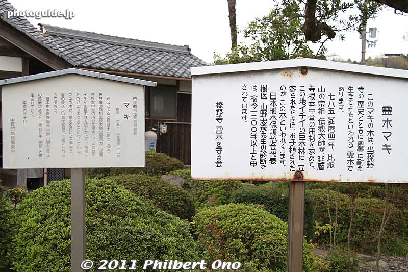 About the Reiki sacred tree. 霊木
Keywords: shiga koka Rakuyaji temple
