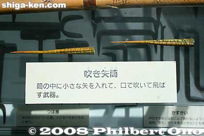Blow darts with poison tips maybe.
Keywords: shiga koka koga ninja ninjutsu house yashiki estate