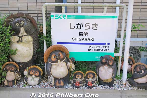 Tanuki greet you at Shigaraki Station.
Keywords: shiga koka shigaraki train station