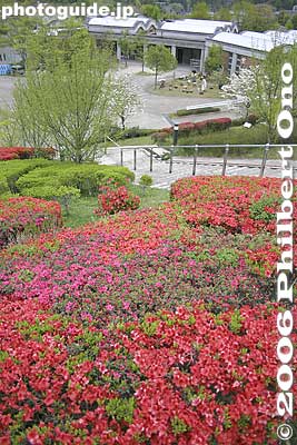 Azaleas would be beautiful in early May.
Keywords: shiga koka shigaraki Ceramic Cultural Park 