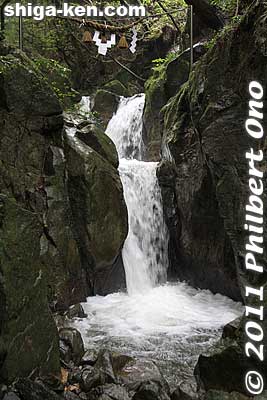 The waterfall is about 5 meters high.
Keywords: shiga konan fudonotaki waterfall mikumo