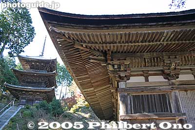 Pagoda and Hondo temple hall
Keywords: shiga prefecture konan tendai buddhist temple national treasure japantemple
