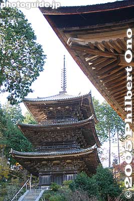 Keywords: shiga prefecture konan tendai buddhist temple national treasure