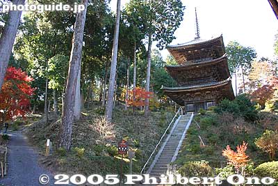 3-story pagoda, also a National Treasure
Keywords: shiga prefecture konan tendai buddhist temple national treasure
