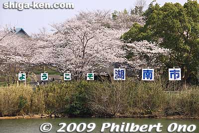 Nigori-ike Koen Park, local park with a pond noted for cherry blossoms. [url=http://goo.gl/maps/wh9sw]MAP[/url]
Keywords: shiga konan cherry blossoms park