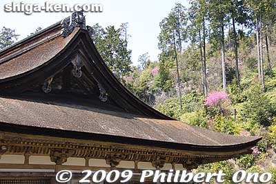 Keywords: shiga konan zensuiji tendai buddhist temple national treasure 