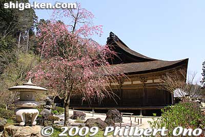 Keywords: shiga konan zensuiji tendai buddhist temple national treasure