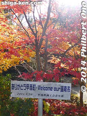 Also visited Zensuiji in autumn. Thought it was more colorful than in spring.
Keywords: shiga konan zensuiji tendai buddhist temple national treasure autumn fall leaves