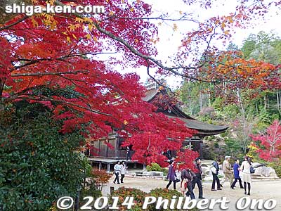 Red maples greet you as you approach Zensuiji's main hall.
Keywords: shiga konan zensuiji tendai buddhist temple national treasure autumn fall leaves
