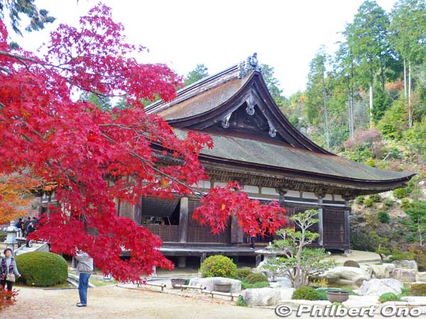 Zensuiji temple in autumn.
Keywords: shiga konan zensuiji tendai buddhist temple national treasure autumn fall leaves japantemple