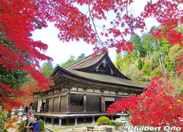 Red maples framing Zensuiji temple in autumn.
Keywords: shiga konan zensuiji tendai buddhist temple national treasure autumn fall leaves