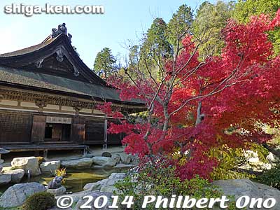 Keywords: shiga konan zensuiji tendai buddhist temple national treasure autumn fall leaves