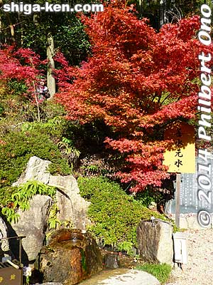 Zensui natural spring water. Donate small change to get a bottle to fill up with this healing water.
Keywords: shiga konan zensuiji tendai buddhist temple national treasure spring water maple leaves autumn fall