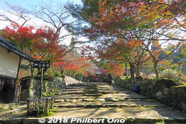 Colorful autumn path to Saimyoji Temple.
Keywords: shiga kora saimyoji tendai temple