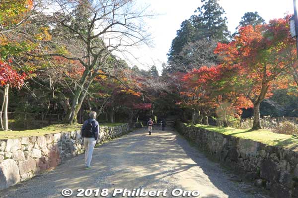 Crossing the Meishin expressway. There's a bridge over a busy and noisy expressway which you cross to get to the other side of the temple grounds.
Keywords: shiga kora saimyoji tendai temple autumn foliage leaves