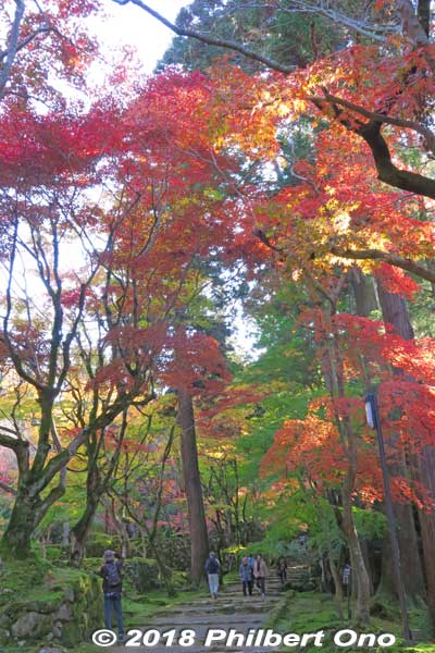 The path was a stunning showcase for autumn foilage.
Keywords: shiga kora saimyoji tendai temple autumn foliage leaves