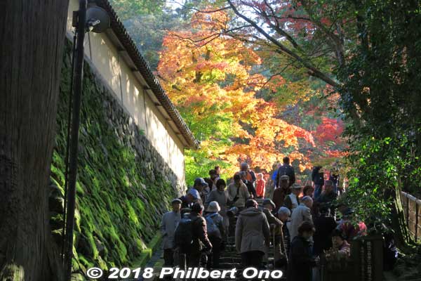 Stairs to autumn heaven. Up to here, the path was just filled with colors. And more still awaited.
Keywords: shiga kora saimyoji tendai temple autumn foliage leaves maple momiji