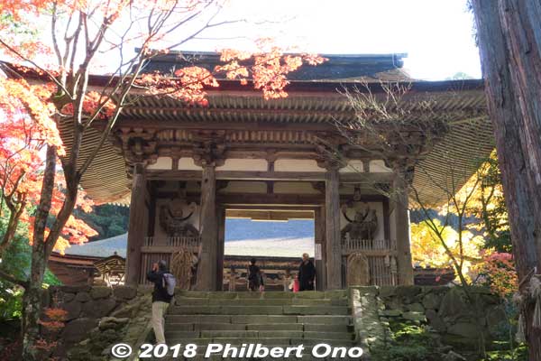 Nitenmon Gate.
Keywords: shiga kora saimyoji tendai temple autumn foliage leaves maple momiji