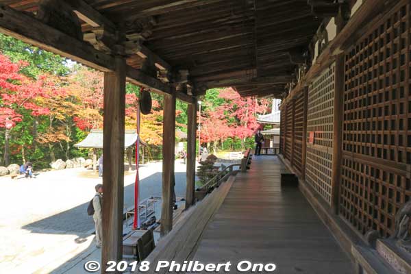 Saimyoji Temple Hondo hall (National Treasure)
Keywords: shiga kora saimyoji tendai temple autumn foliage leaves maple momiji