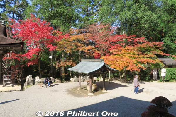 View from Saimyoji Temple Hondo hall (National Treasure).
Keywords: shiga kora saimyoji tendai temple autumn foliage leaves maple momiji