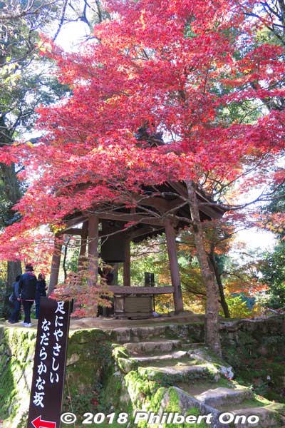 Saimyoji temple bell
Keywords: shiga kora saimyoji tendai temple autumn foliage leaves maple momiji