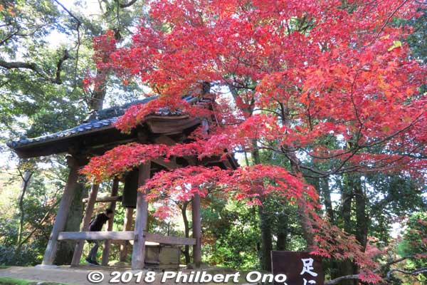 Saimyoji temple bell accented with red maples.
Keywords: shiga kora saimyoji tendai temple autumn foliage leaves maple momiji