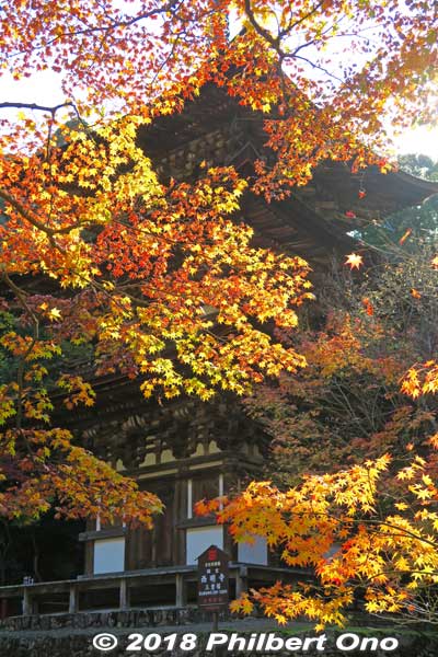 Keywords: shiga kora saimyoji tendai temple autumn foliage leaves maple momiji pagoda
