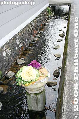 More roadside streams with flowers.
Keywords: shiga kora-cho town shimonogo